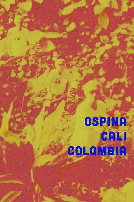 Ospina Cali Colombia